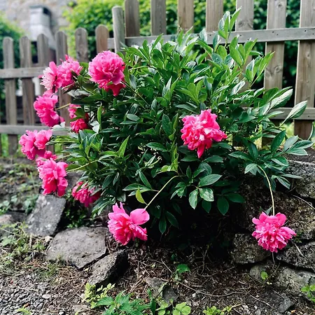 La Petite Maison Hébergement de vacances *