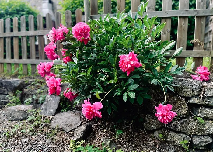 La Petite Maison Casa vacanze *